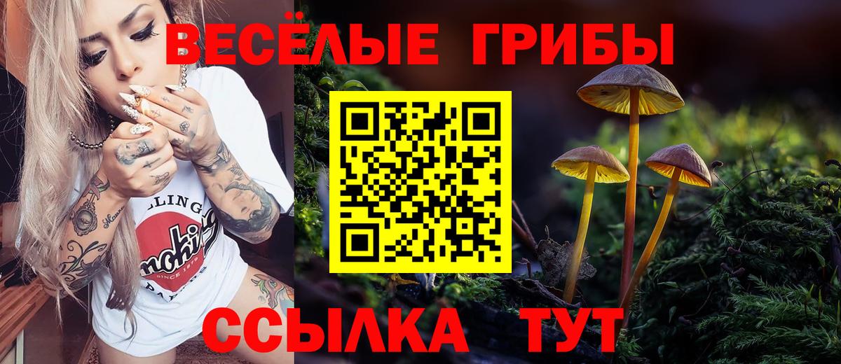 Галлюциногенные грибы ЛСД  Вход с VPN  Киселёвск  Псилоцибиновые грибы Magic Shrooms 